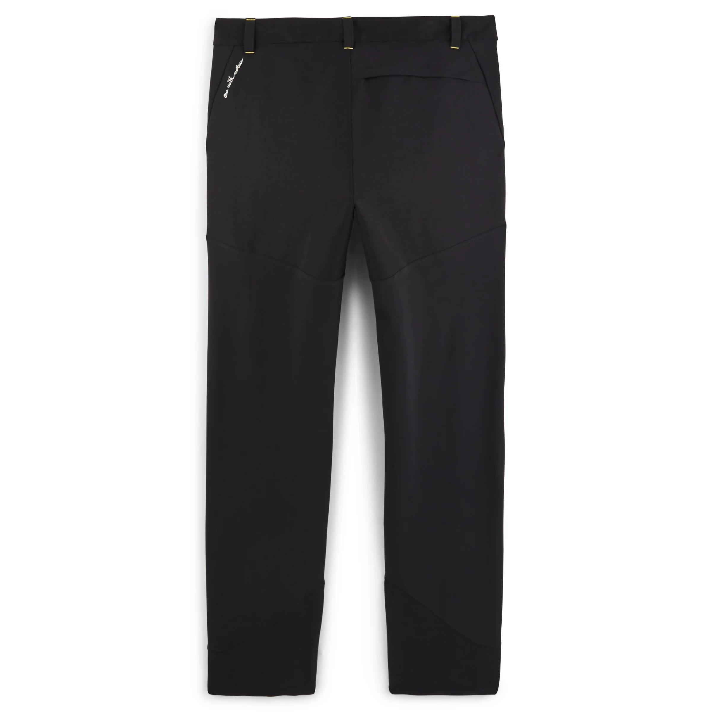 Pantalon Randonnée Homme PTARMIGAN2 - Image 3